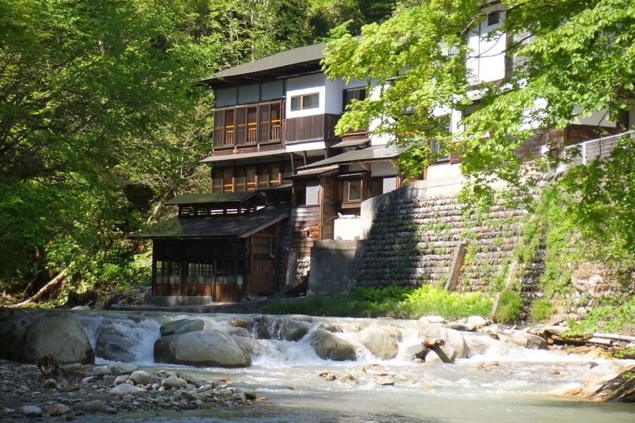 旅館 井筒屋 口コミ 宿泊予約 トリップアドバイザー