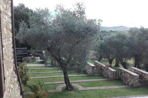Camera e suite