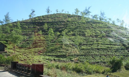 Kottayam district