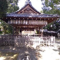 正面から
