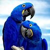 oceanbear_travel