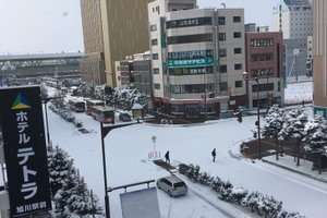 客房景观