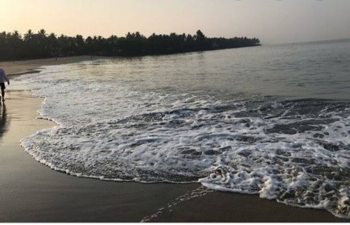 Munambam Beach - All You Need To Know BEFORE You Go (2024)