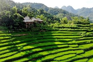 Trung tâm dịch vụ & Phòng sự kiện