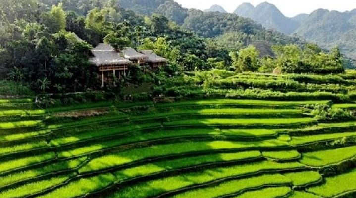 getlstd_property_photo