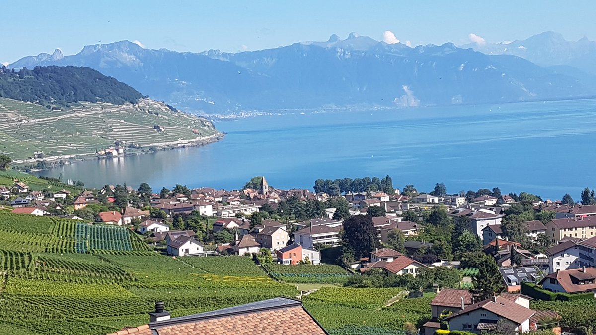 LE MAJOR DAVEL - Prices & Hotel Reviews (Cully, Switzerland)