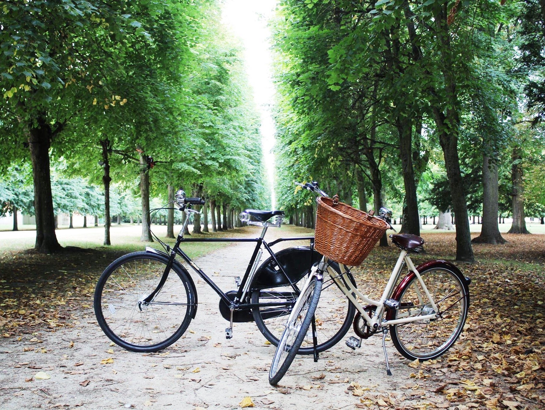 BOUTIQUE BIKE TOURS All You Need to Know BEFORE You Go with Photos