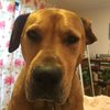 carolynk533