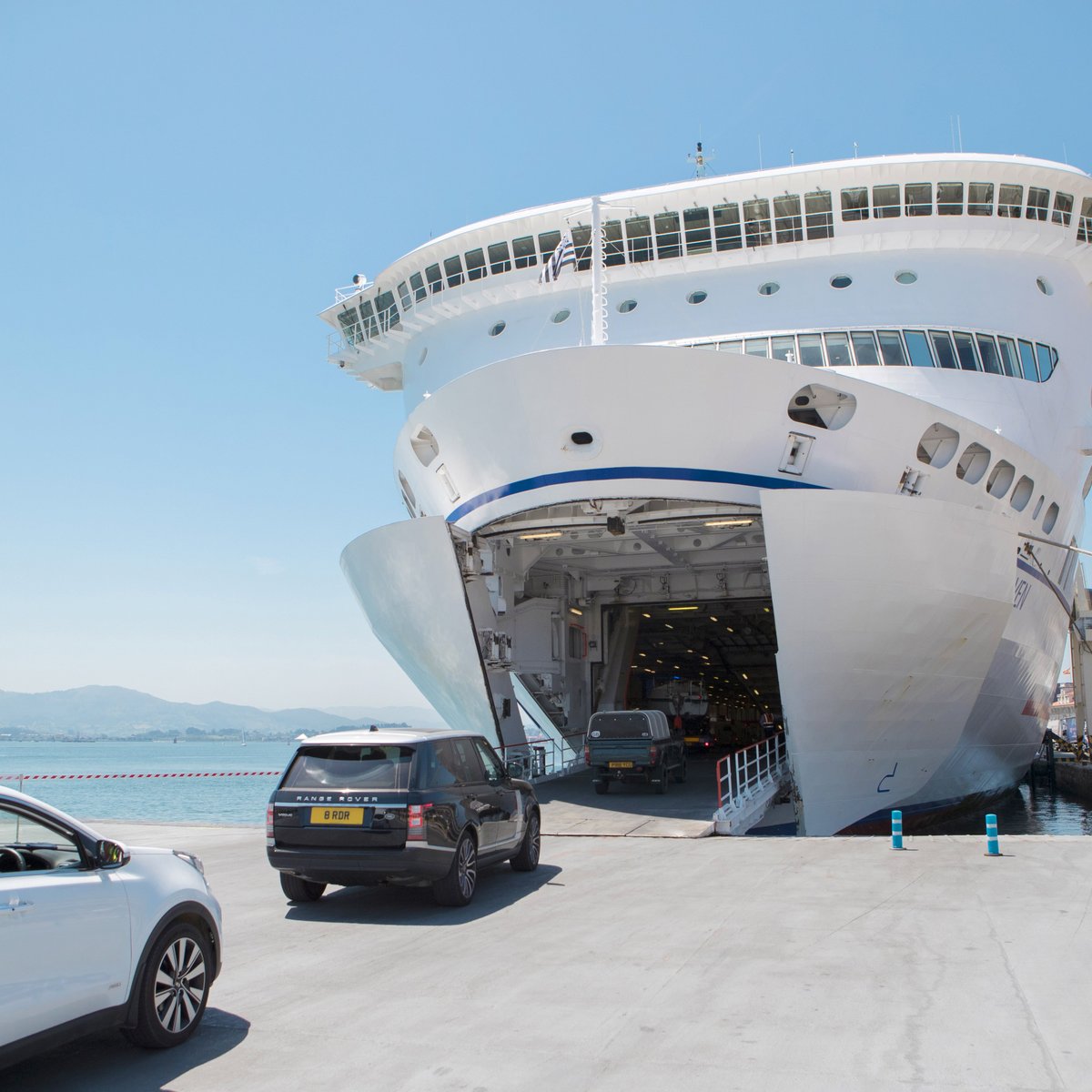 can dogs go on brittany ferries