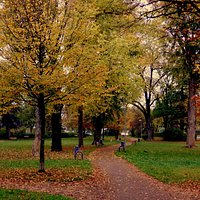 Weg durch den Park