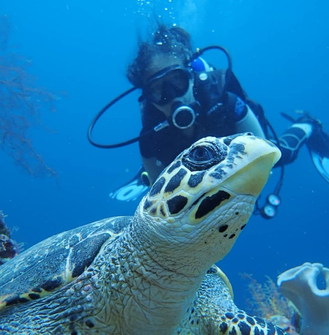 Wakatobi Marine Dive (Indonesia): Hours, Address - Tripadvisor