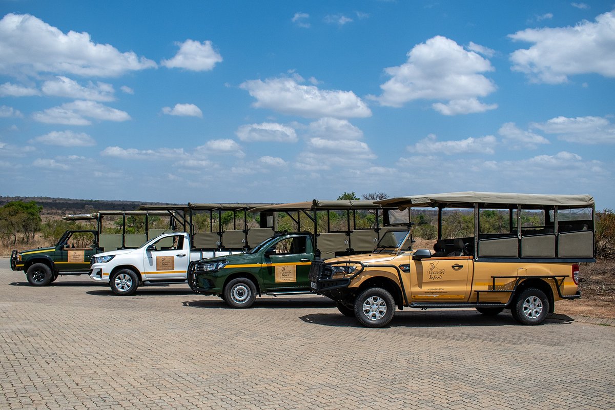 Legend Safaris on X: Big cat fishing #catfish #barber #africa #beast  #fishing #fishinglife #legendary #legend_safaris #legendsafaris   / X