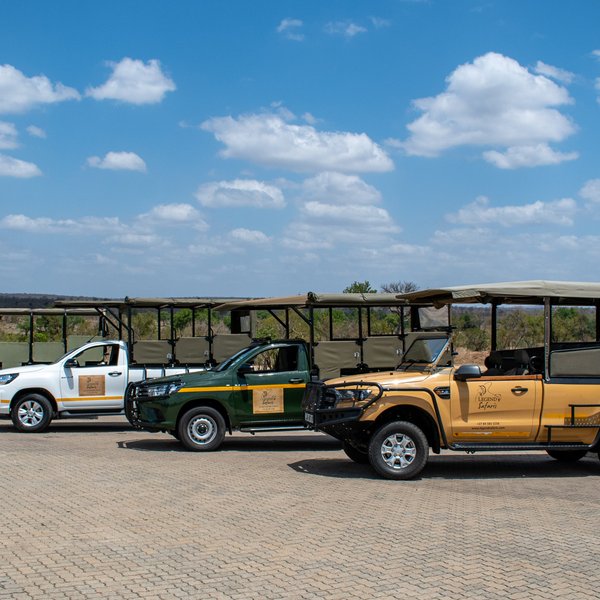 Wild wings safaris