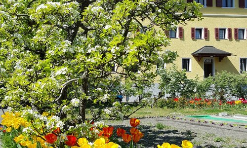 Jardin au printemps