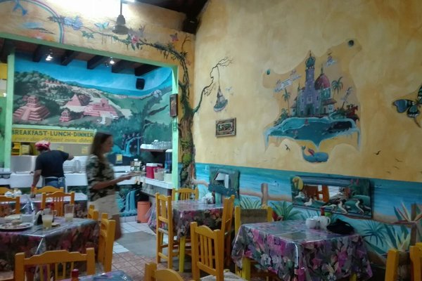 Vegan and vegetarian Restaurants in Puerto Vallarta - Google My Maps