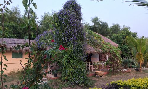 Cottage 