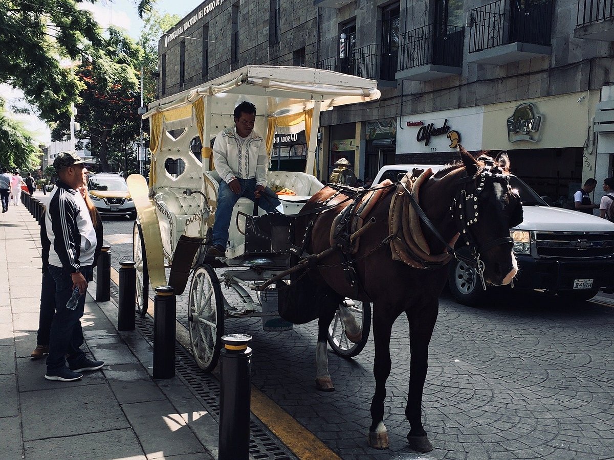 charter tours ajijic mexico