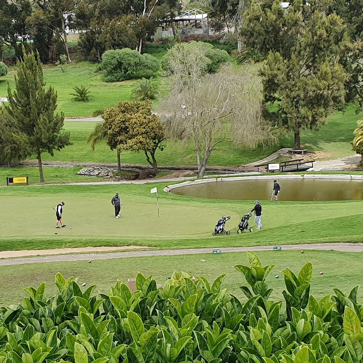 Bellville Golf Course Bellville Cape Town Golf course information Bellville Golf Course Bellville Cape Town Golf course information