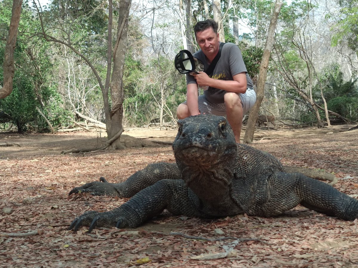 INFO TOUR KOMODO (Labuan Bajo) - All You Need to Know BEFORE You Go