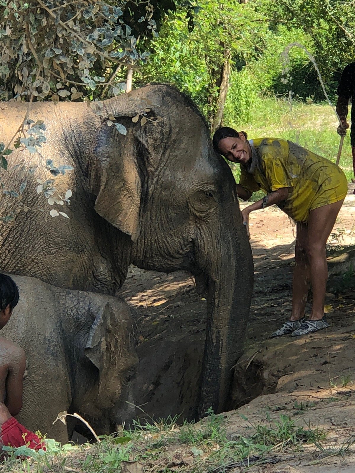 Patong Elephant Care, Патонг: лучшие советы перед посещением - Tripadvisor