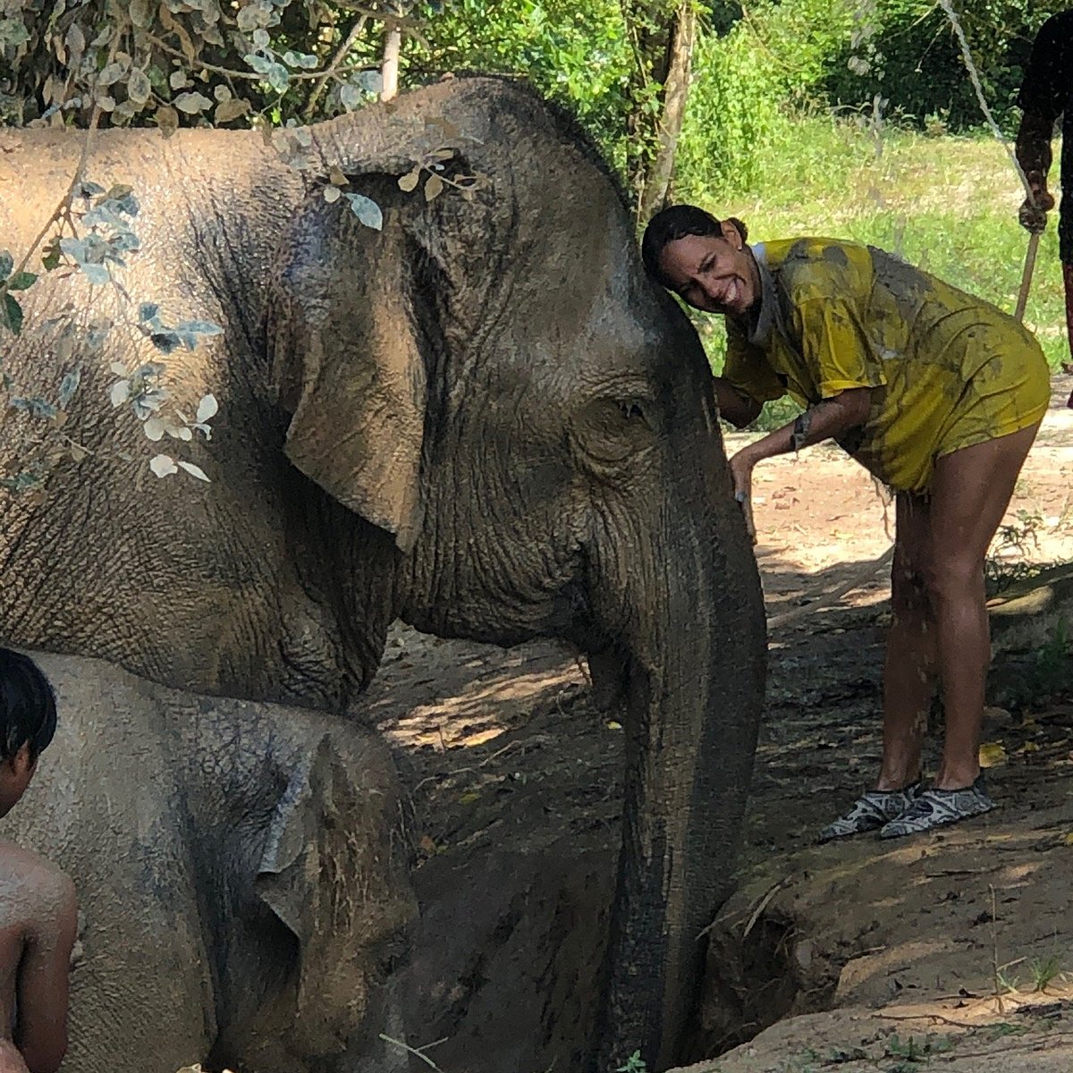 Patong Elephant Care, Патонг: лучшие советы перед посещением - Tripadvisor