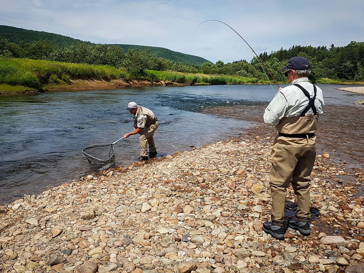 All About River Fishing: What You Need To Know