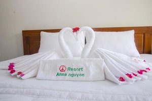Phòng & Phòng Suite