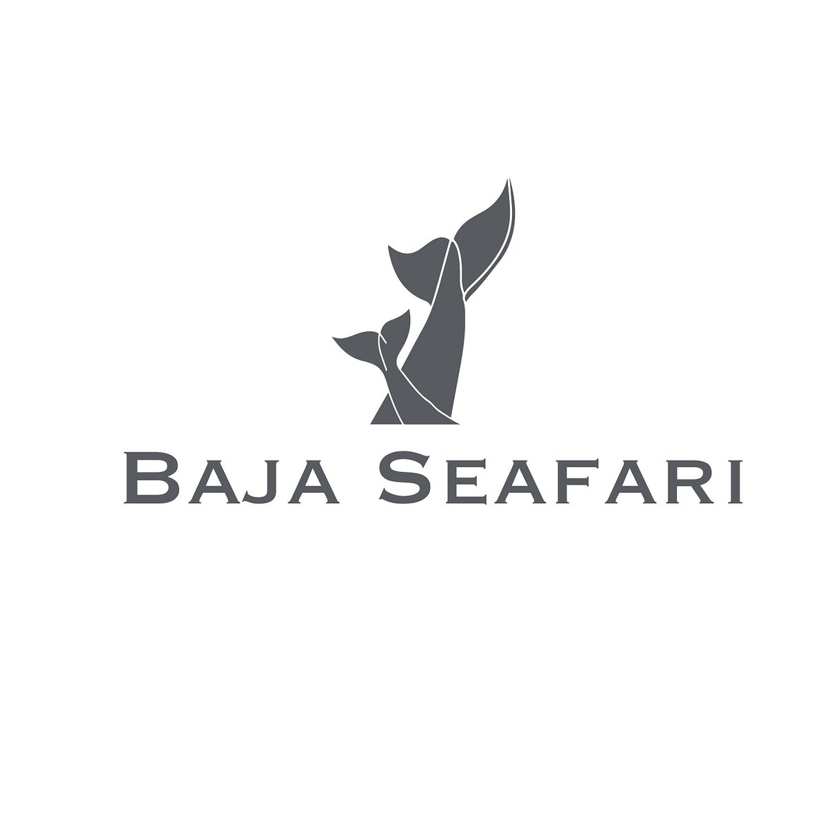 Baja Seafari (La Paz, Mexico) Address, Phone Number Tripadvisor