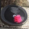 rosiekeys