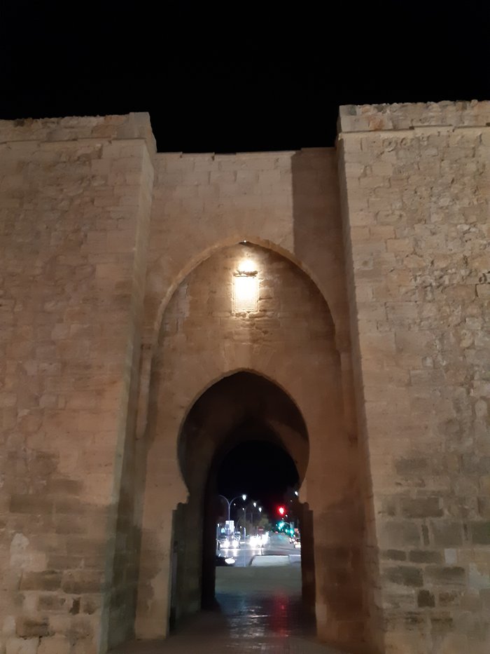 Imagen 5 de Puerta de Toledo
