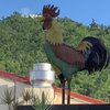 randycQ4388HD