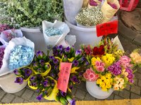 Freshly Cut Flowers магазин цветов