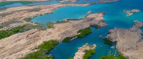 Farsan Island