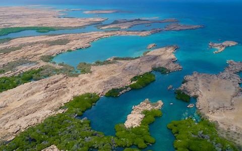 Farsan Island