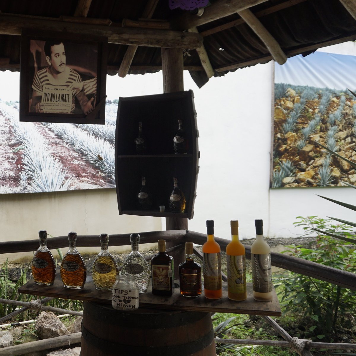 Mi Mexico Lindo Tequila Tour, Косумель лучшие советы перед посещением
