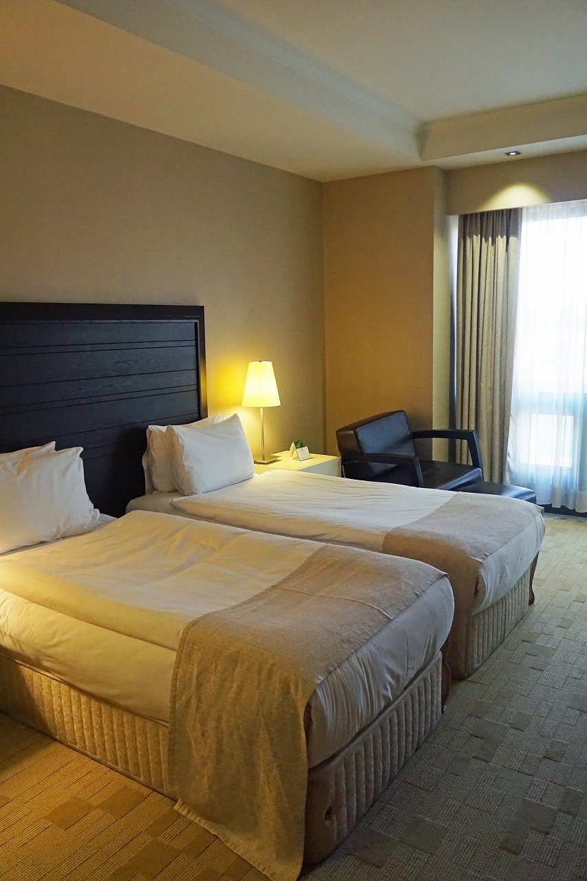 Hotel photo 18 of Holiday Inn Istanbul Airport, an IHG hotel.