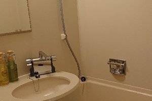 旅行者の写真
