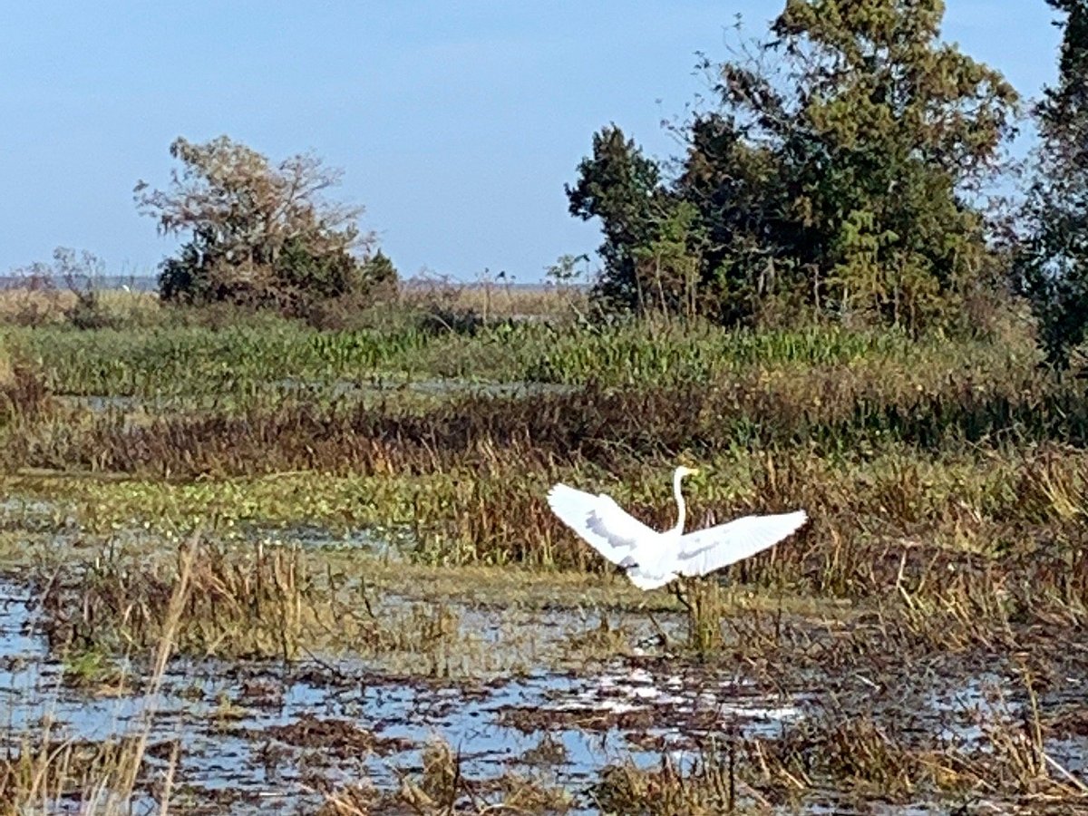 airboat tours lake placid fl