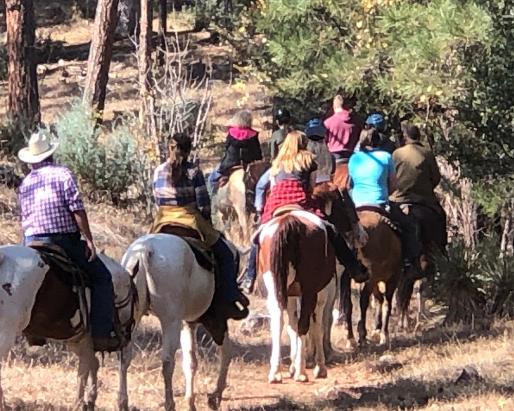 THE 10 BEST Phoenix Horseback Riding Tours (2024) - Tripadvisor