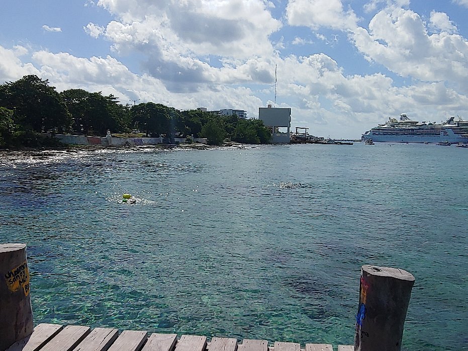 Papa Hog's Scuba Emporium (Cozumel) - All You Need to Know BEFORE You Go