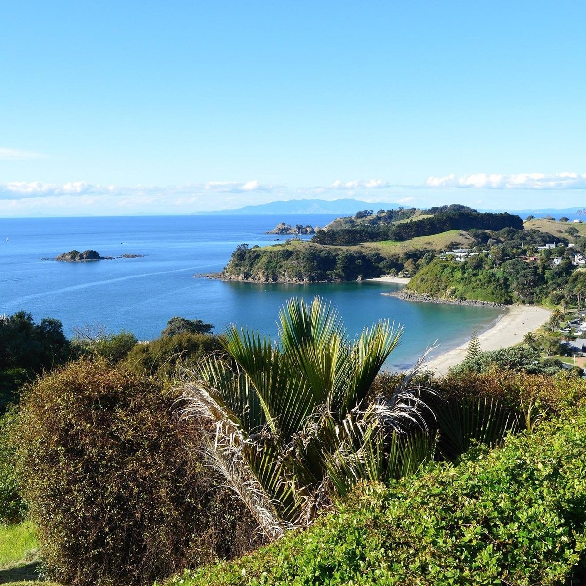 Waiheke Freedom Tours - All You Need To Know Before You Go (2024)