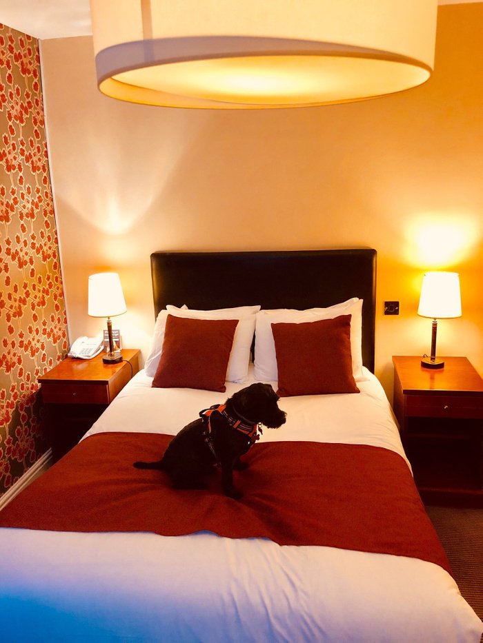 CROSS HANDS HOTEL - Updated 2024 Prices & Reviews (Old Sodbury, England)