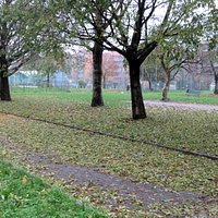 Colori d'autunno e tappeti di foglie