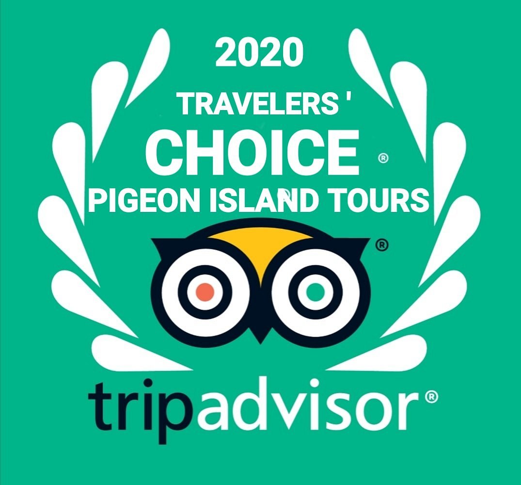 Travel choice. Трипэдвайзер лого. Трипадвизор. Иконка трипадвизор. Логотип TRIPADVISOR вектор.