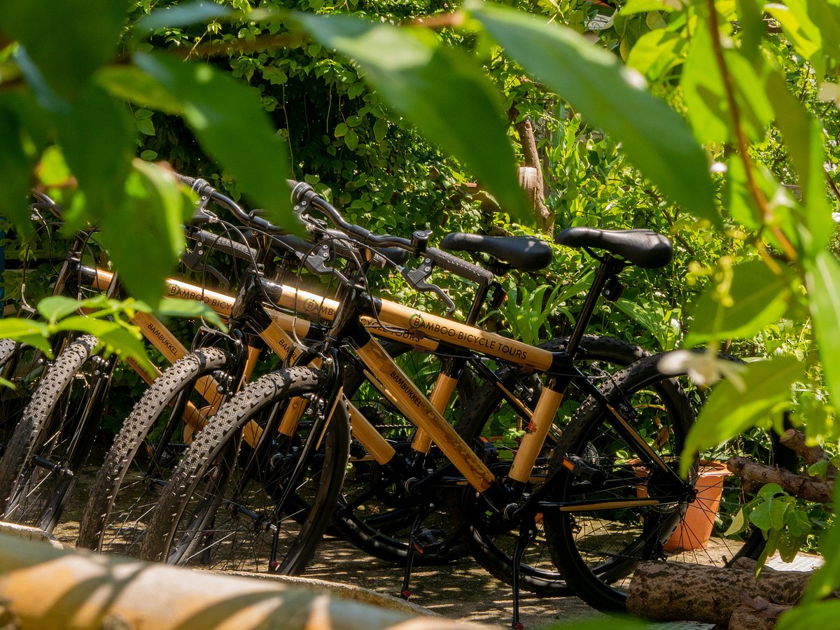 bamboo bicycle tours thailand