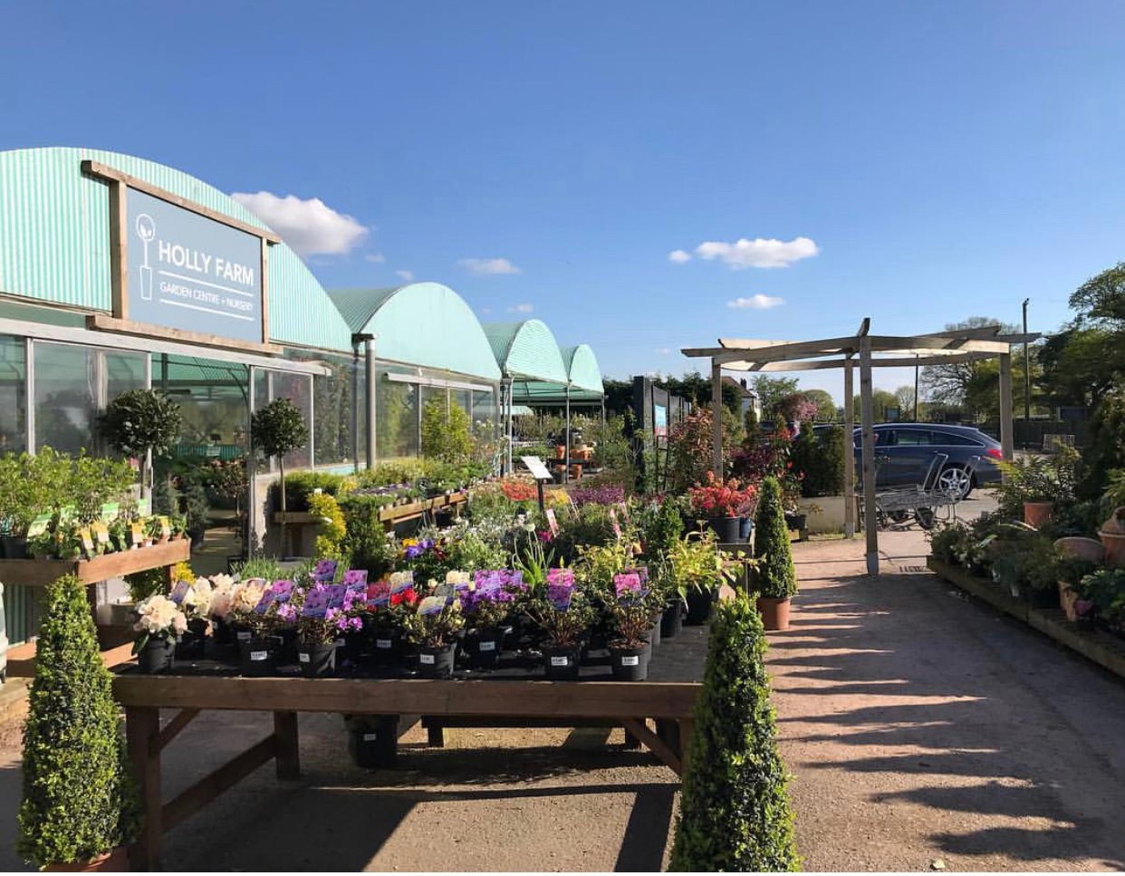 Holly farm canine centre sales