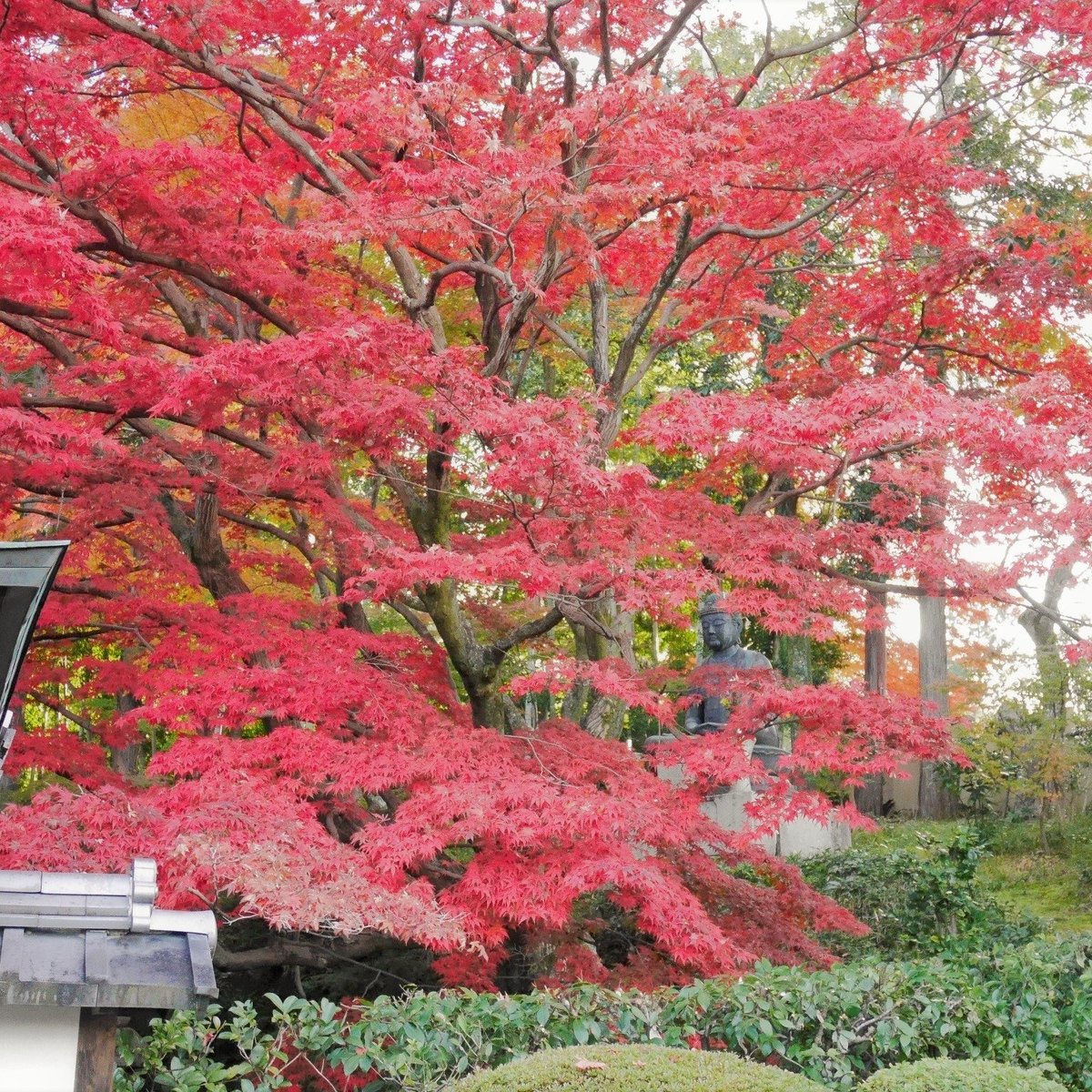 Eisho-in Temple (Kyoto): All You Need to Know BEFORE You Go