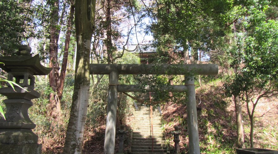 神社の参道