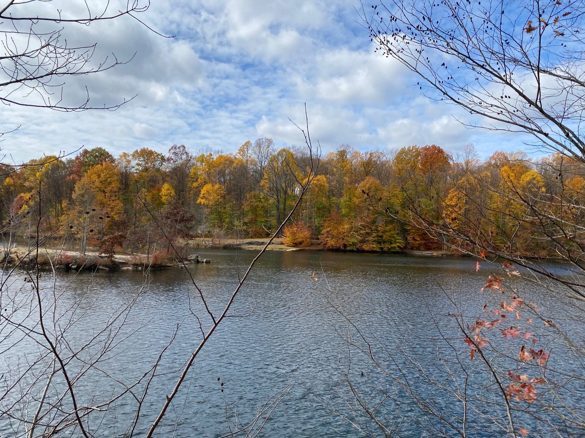 Nelson Ledges Quarry Park (Garrettsville) - All You Need to Know BEFORE 