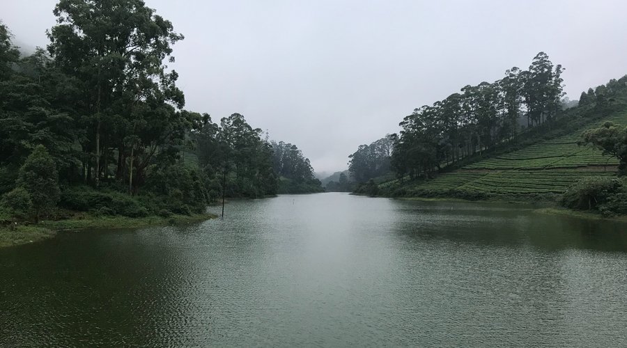 Lake near the property